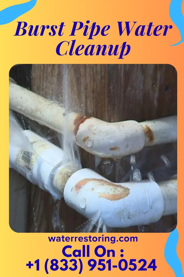 Burst Pipe Water Cleanup in Belton, SC