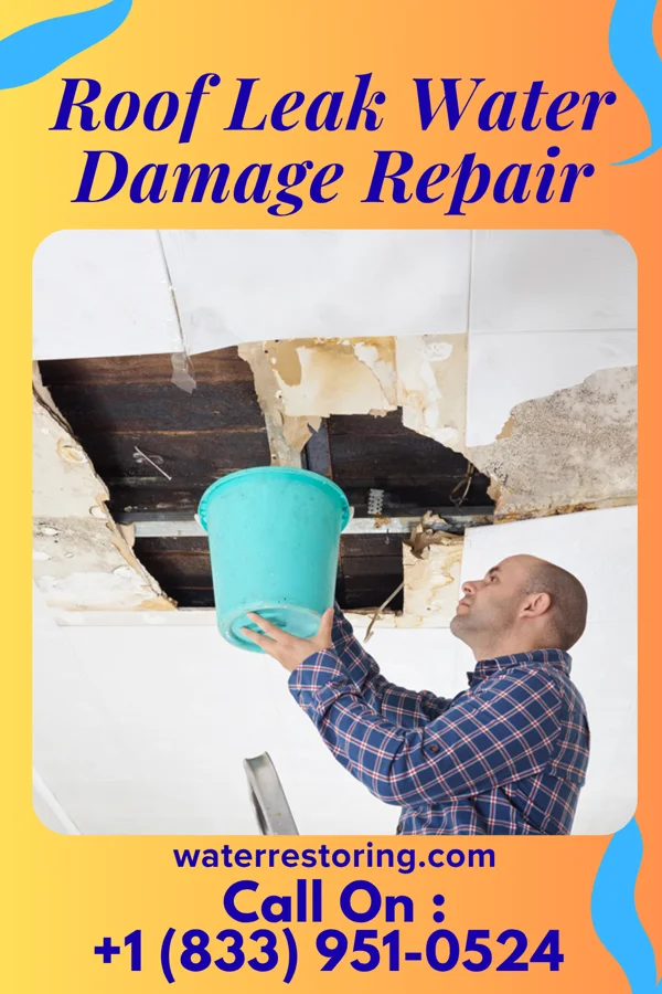 Roof Leak Water Damage Repair in Belton, SC