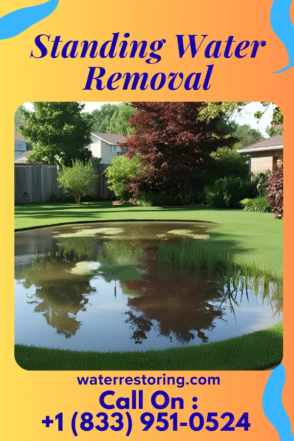 Standing Water Removal in Belton, SC